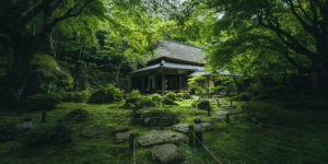 思わず深呼吸したくなる新緑スポット3選🌱