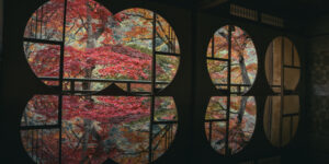 京都・祐斎亭で秋を切り取る。